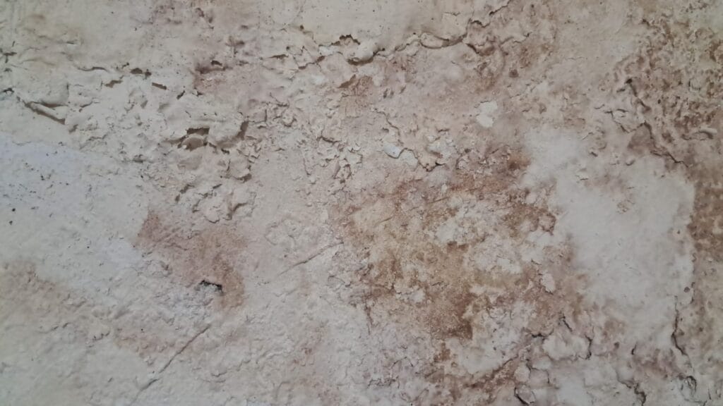 معالجة الرطوبة في أبوظبي
