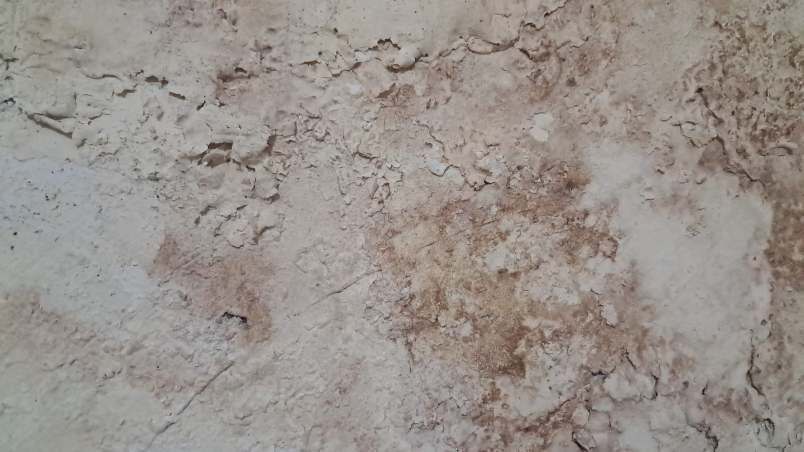معالجة الرطوبة في أبوظبي