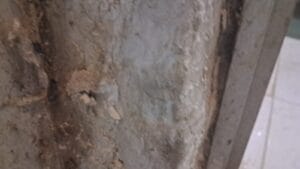 معالجة الرطوبة في أبوظبي