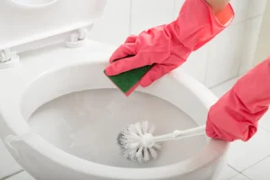 شركة معالجة الروائح الكريهة في عجمان